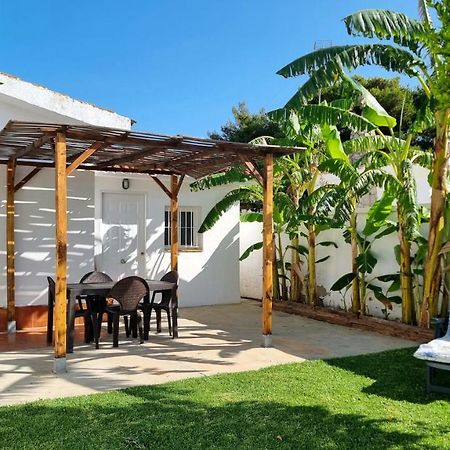 Apartamento Privado Con Jardin, Piscina Elevada Y Bbq Чиклана-де-ла-Фронтера Экстерьер фото